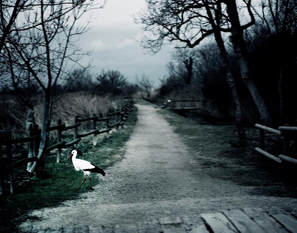 photographe-jean-francois-spricigo