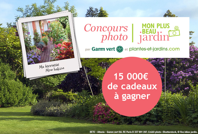 Blog Photo » Concours Photo : Mon plus beau jardin Blog Photo » Concours Photo : Mon plus beau jardin