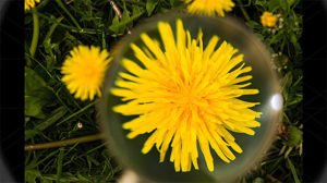 home-photo-tricks-2