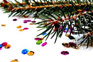 spruce-1040048__480